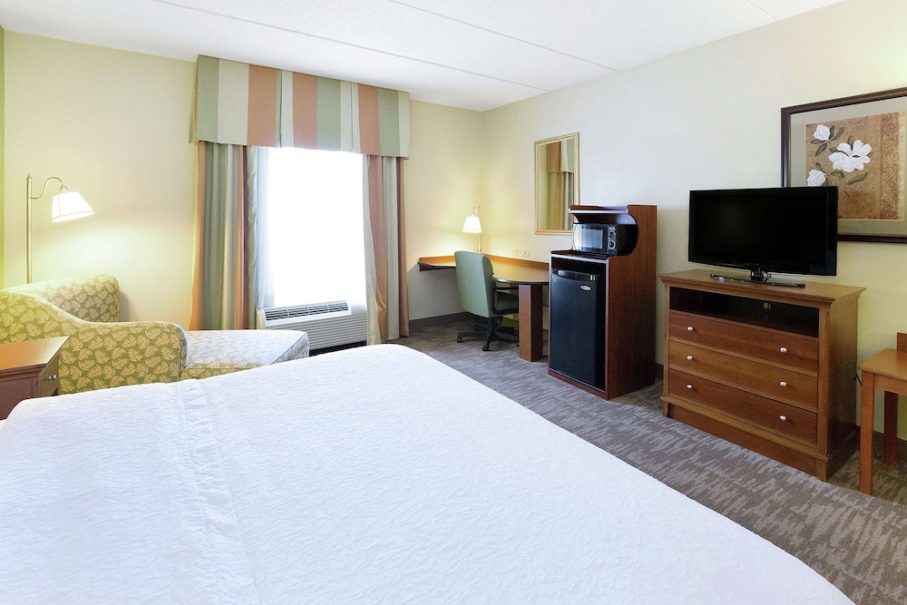 Room, 1 King Bed, Accessible - Photo 5