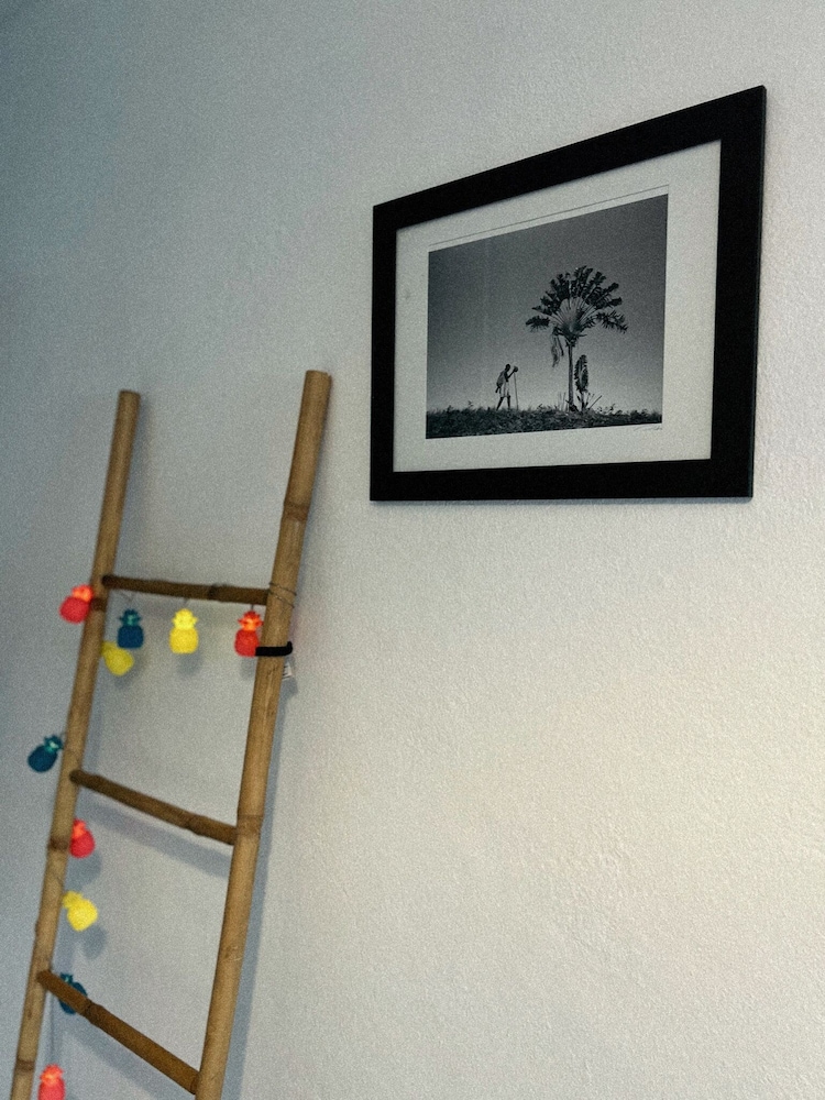 Classic Room, 1 Bedroom photo 3