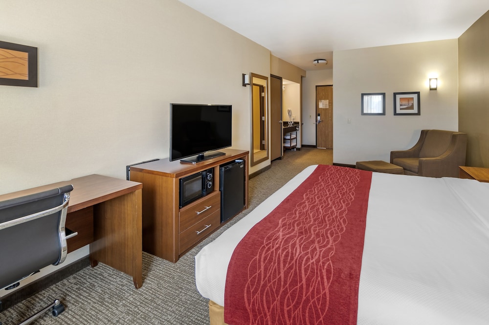 Standard Single Room, 1 King Bed, Roll-in Shower, Non Smoking photo 1
