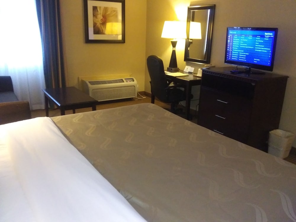 Standard Room, 1 King Bed with Sofa bed, Non Smoking photo 2