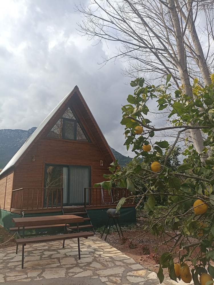 Comfort Bungalow, Courtyard View photo 3