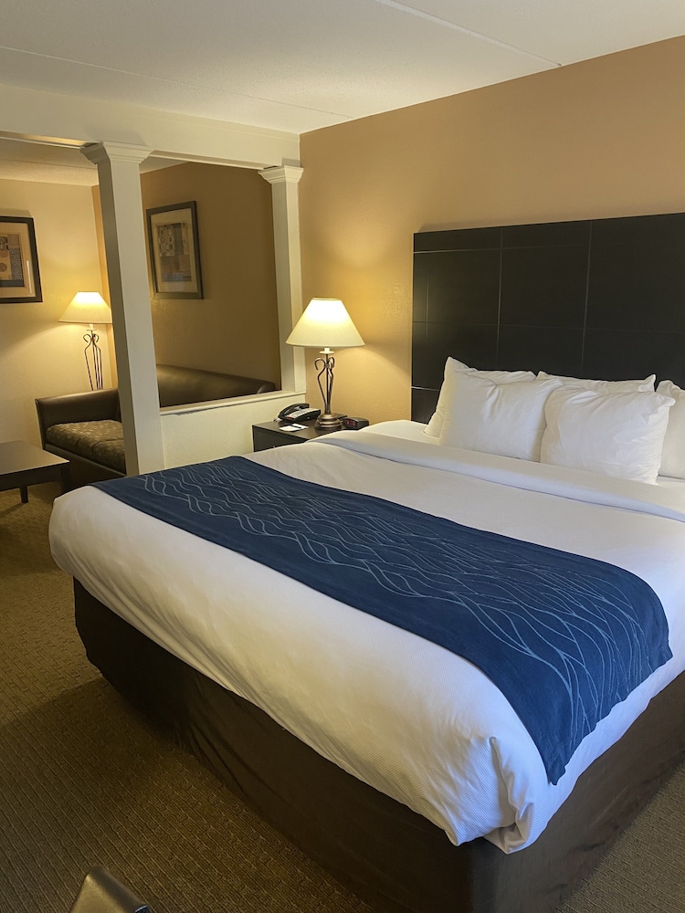 Suite, 1 King Bed with Sofa bed, Non Smoking - Photo 8