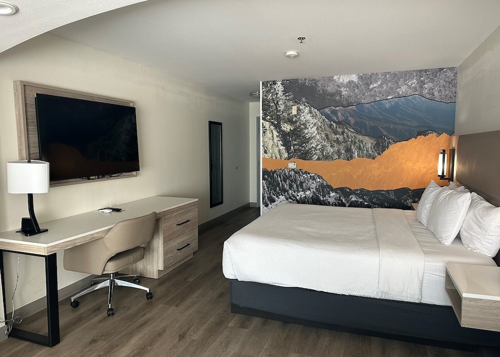 Studio Suite, 1 King Bed, Non Smoking - Photo 10