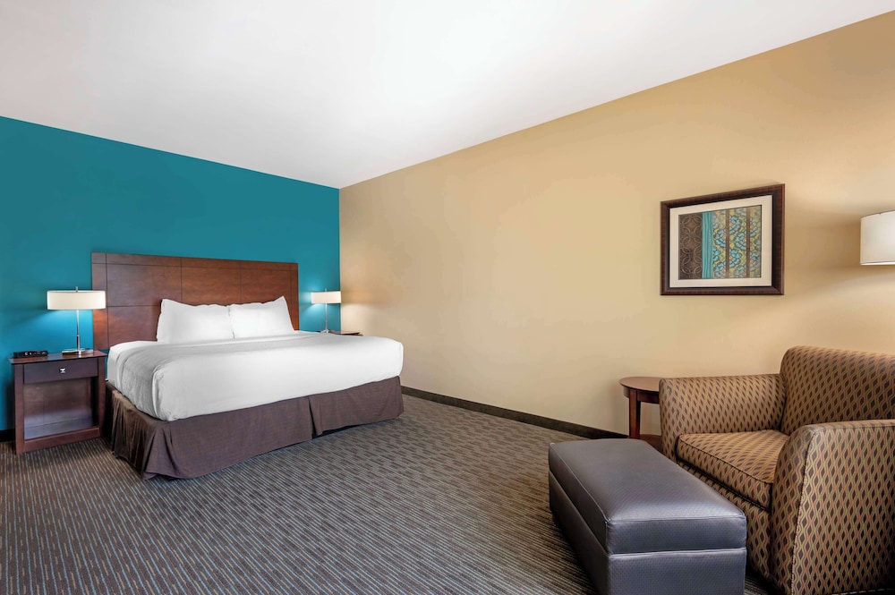 Executive Room, 1 King Bed, Non Smoking, Refrigerator & Microwave (Shower Only) photo 1