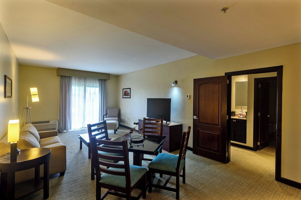 Suite, 1 King Bed with Sofa bed photo 3