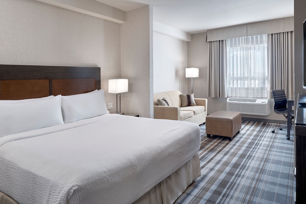 Suite, 1 King Bed