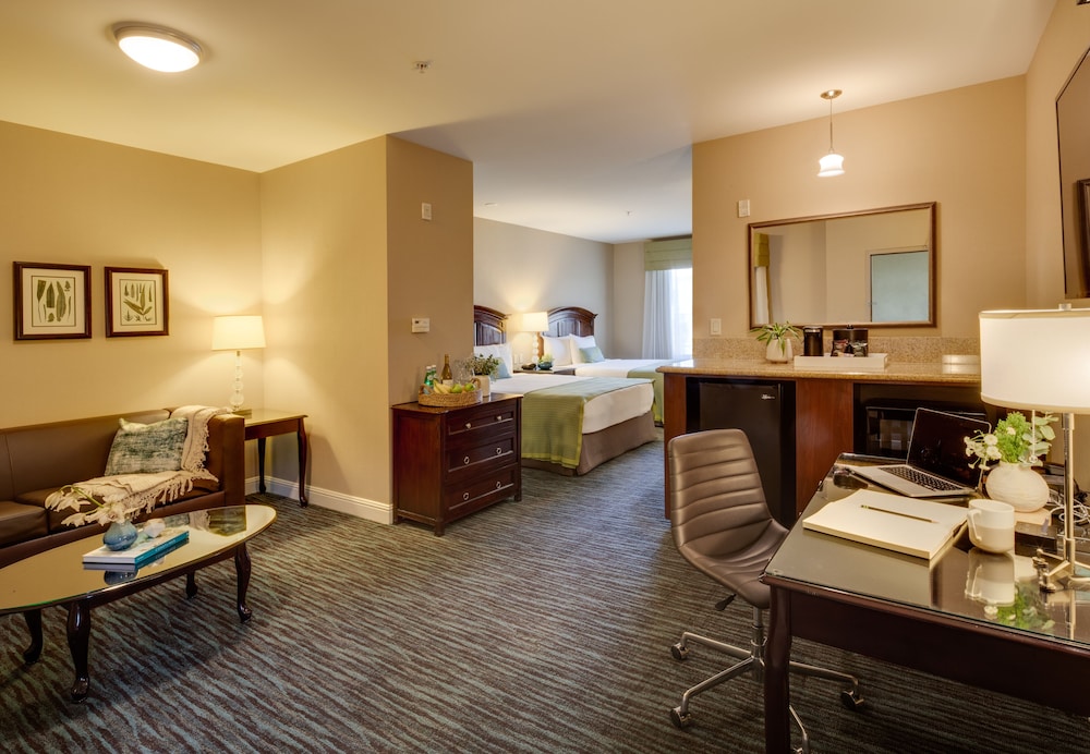Studio Suite, Multiple Beds - Photo 1