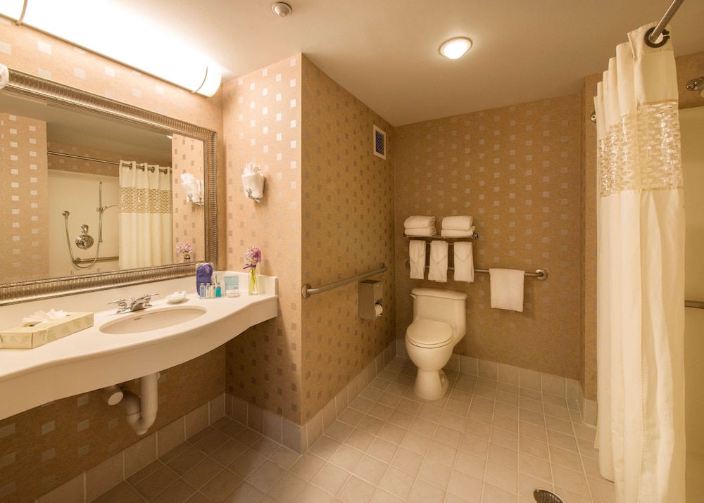 Room, 1 King Bed, Accessible (Mobility & Hearing, Roll-In Shower)