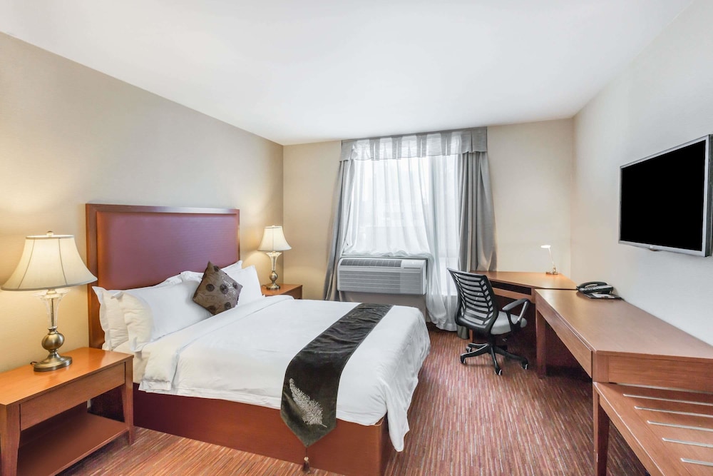 Suite, 1 Bedroom, Non Smoking