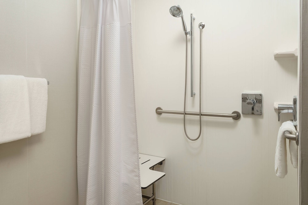 Room, 1 King Bed (Mobility Accessible, Roll-In Shower) photo 1