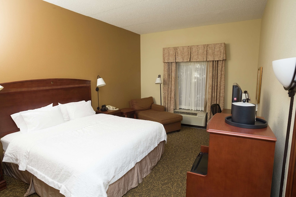 Room, 1 King Bed, Accessible, Non Smoking photo 2