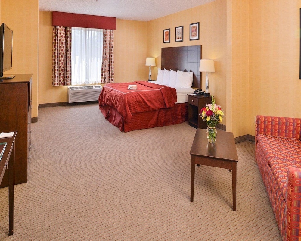 Suite, 1 King Bed with Sofa bed, Accessible photo 1