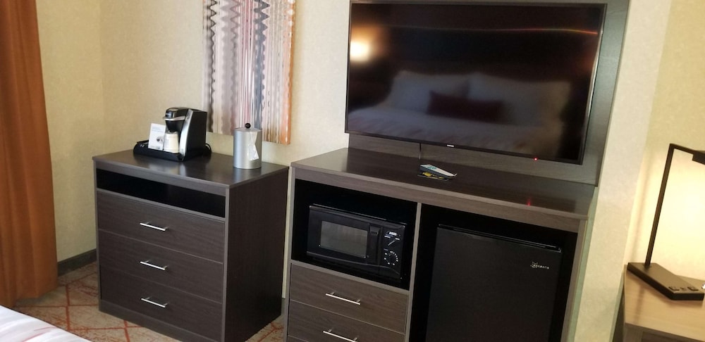 Standard Room, 1 Queen Bed, Accessible, Refrigerator & Microwave - Photo 4