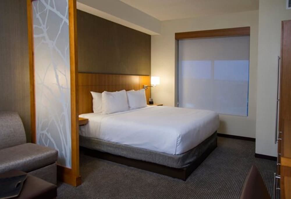 Standard Room, 1 King Bed, Accessible