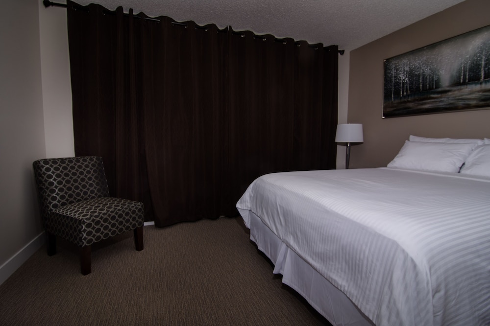 Suite, 1 Queen Bed photo 1