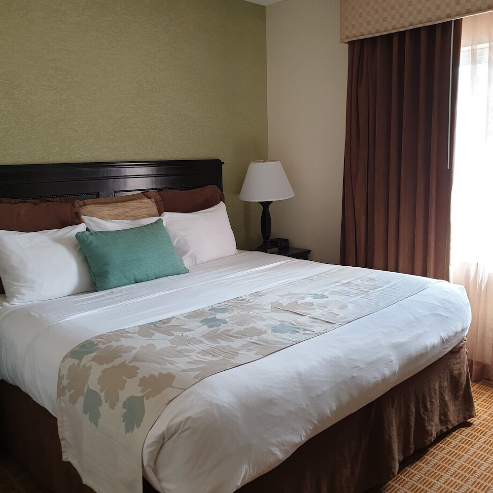 Executive Suite, 1 Bedroom, Accessible, Non Smoking (Mobility, Roll-In Shower) photo 2