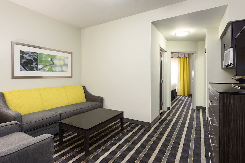 Suite, 1 King Bed, Accessible (Mobil Trans Shwr) photo 1