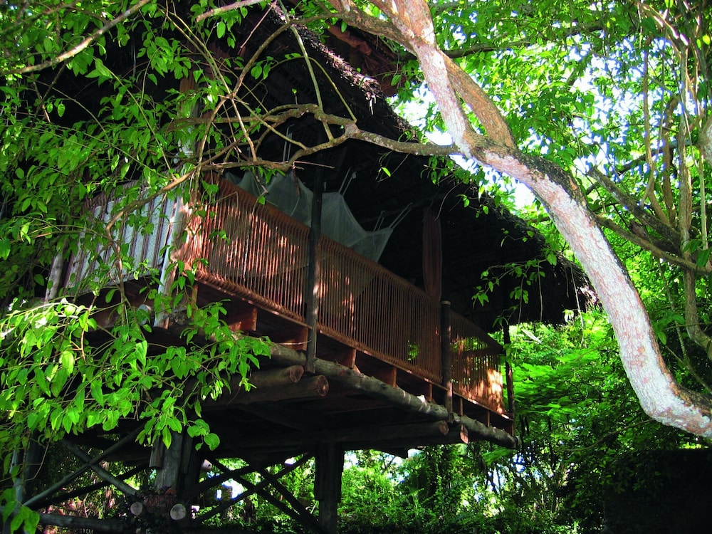 Family Tree House (Tano) photo 1