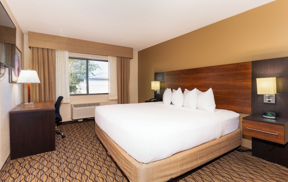 Suite, 1 Bedroom
