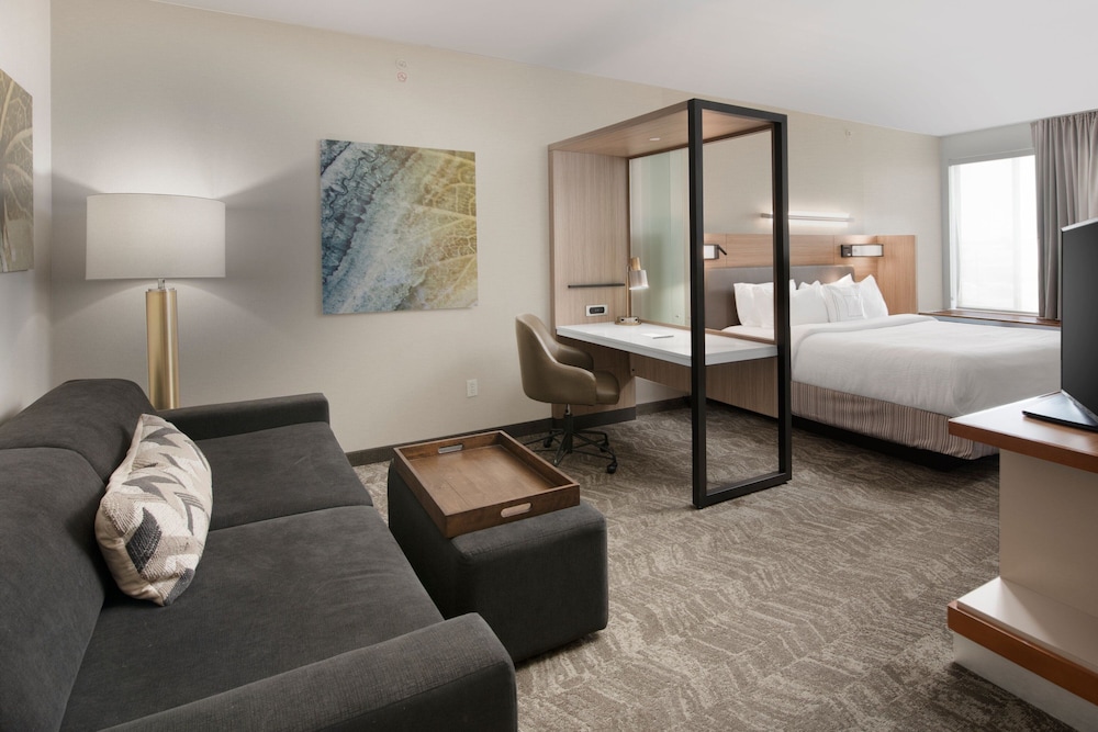 Studio, 1 King Bed with Sofa bed (Mobility/Hearing Accessible, Tub) photo 1