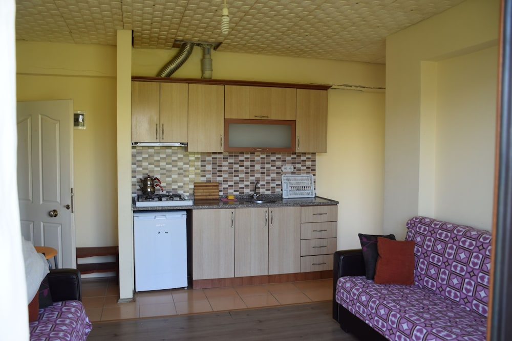 Classic Apartment, 1 Bedroom photo 3