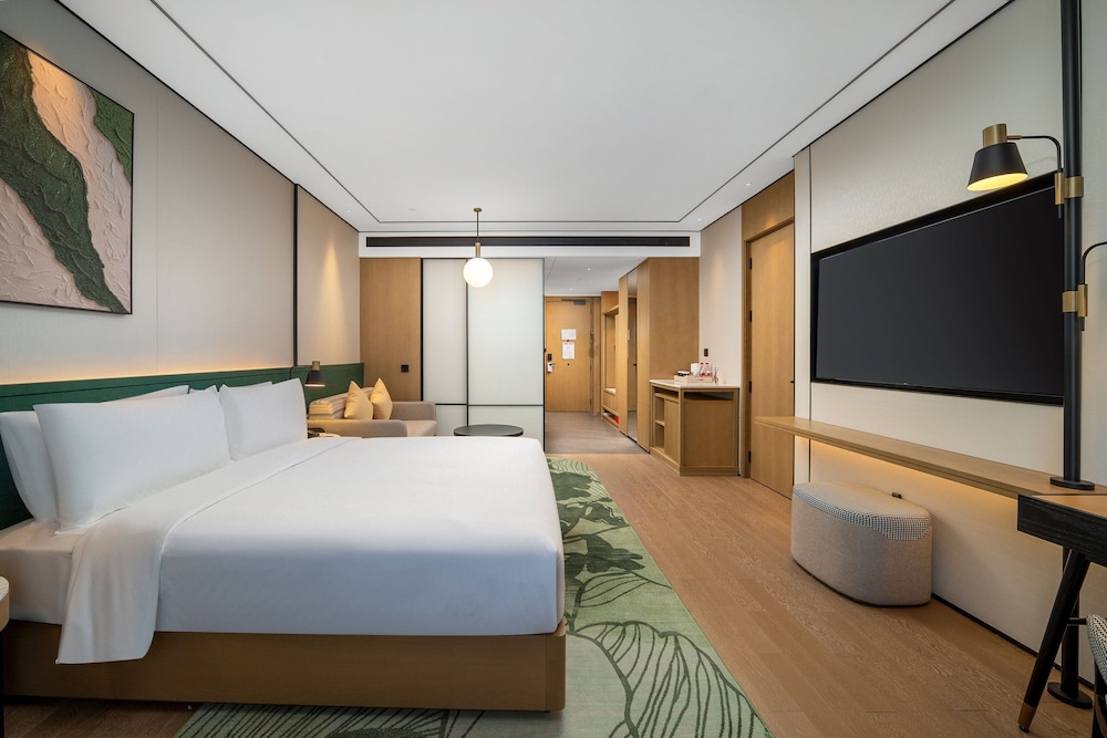 Room, 1 King Bed, Accessible photo 1