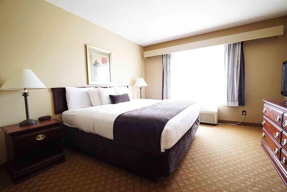 Studio Suite, 1 King Bed, Non Smoking photo 1