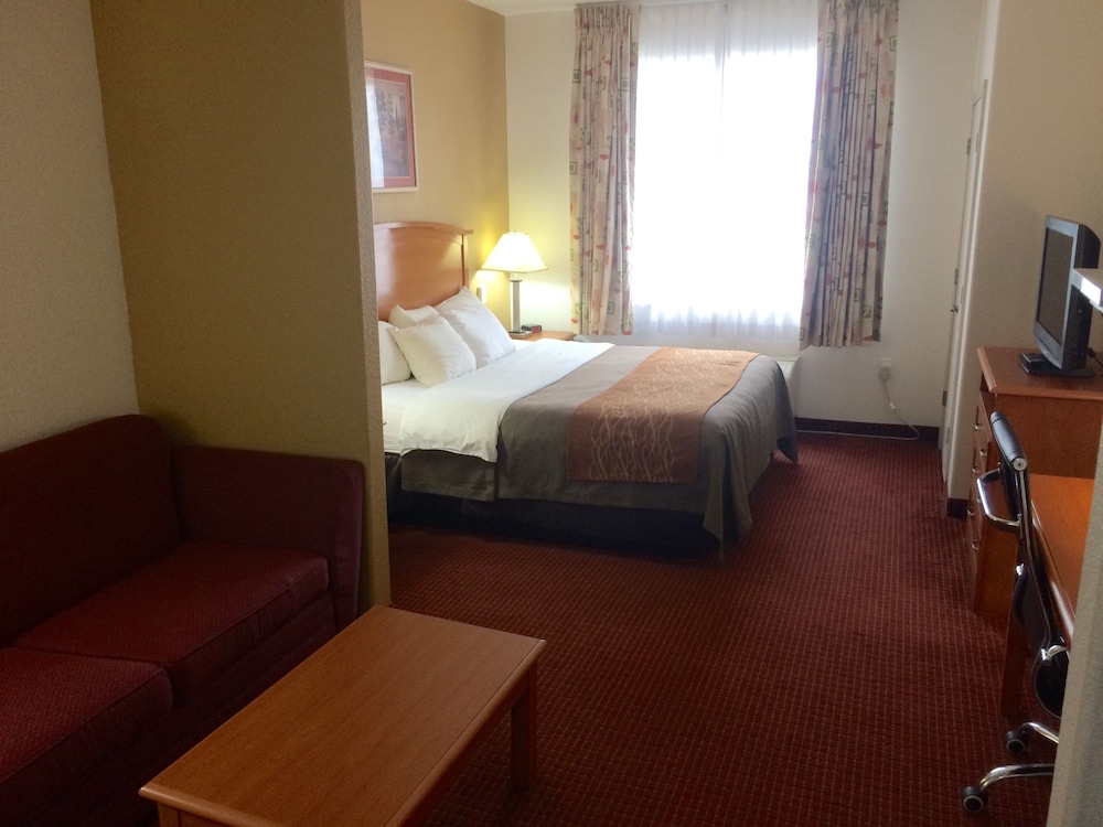 Suite, Non Smoking - Photo 3