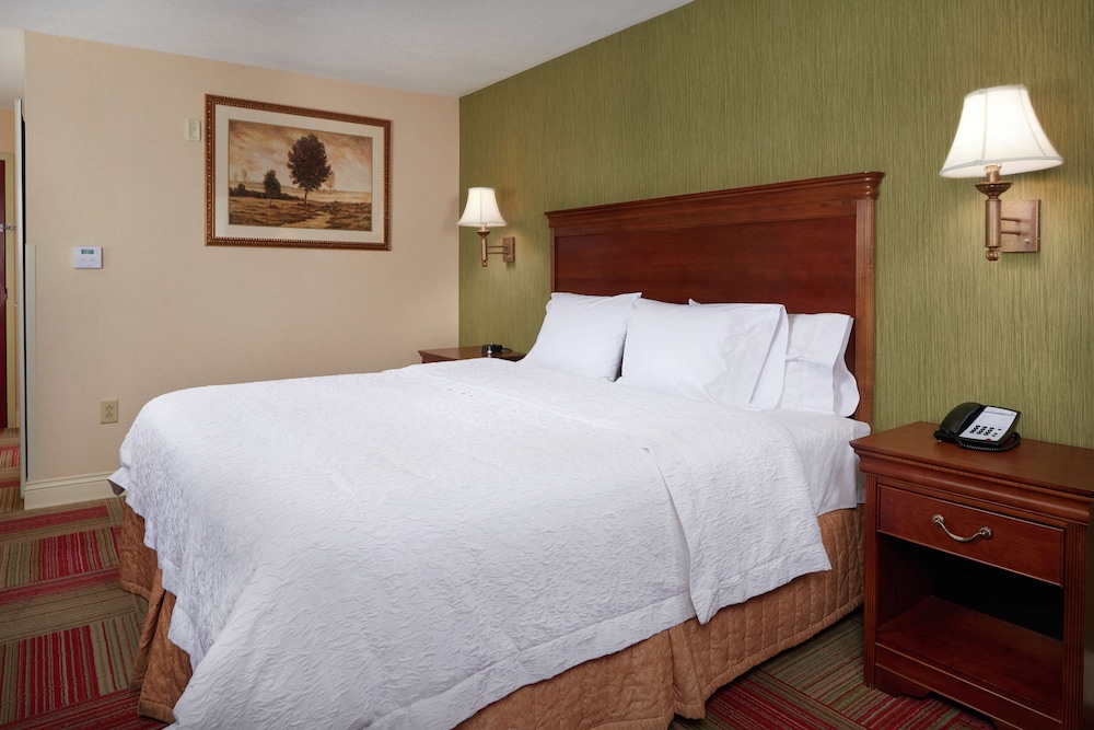 Room, 1 King Bed, Accessible - Photo 1