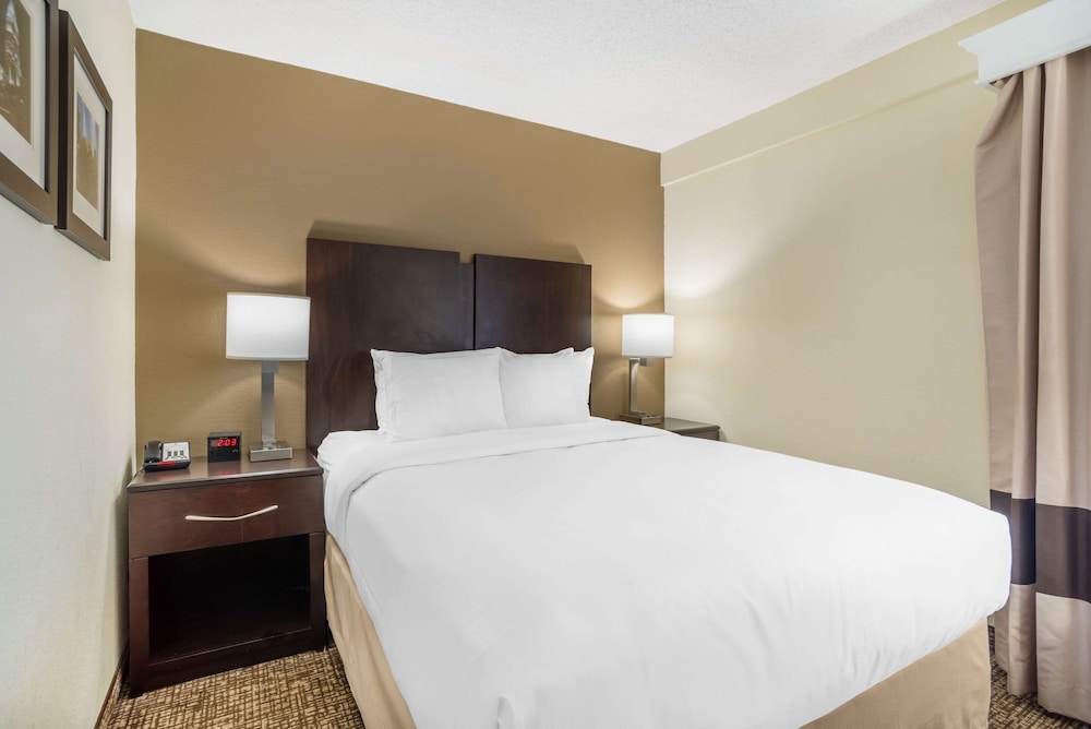 Room, 1 Queen Bed, Non Smoking photo 1