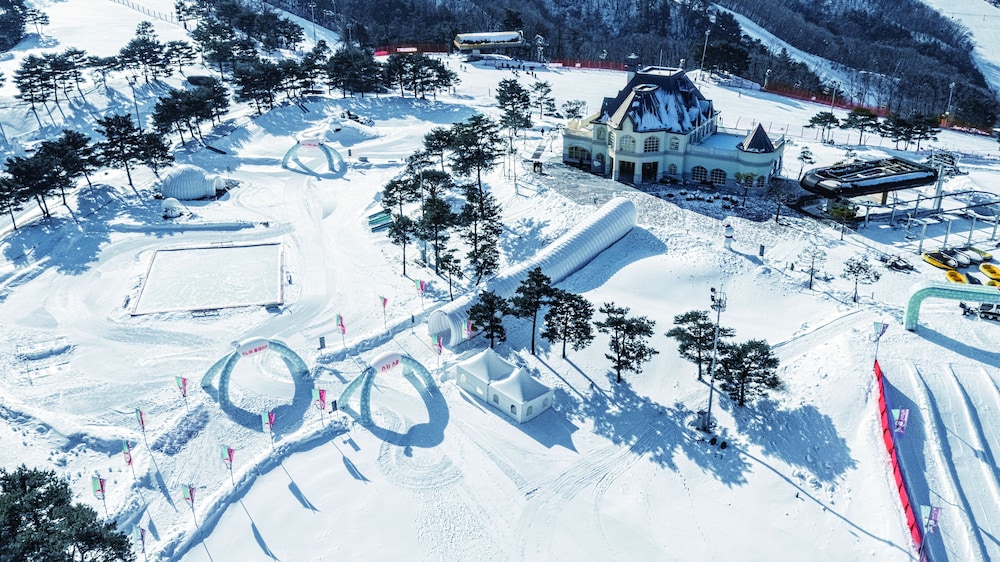 [Winter PKG] Silver Suite (Kitchen/Park View/Bed) - Choose 1,3-hour Ski Lift or Snowy Land(2tickets) photo 2
