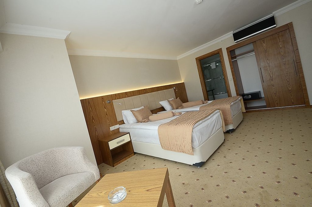 Standard Rooms with French Bed thumbnail 6