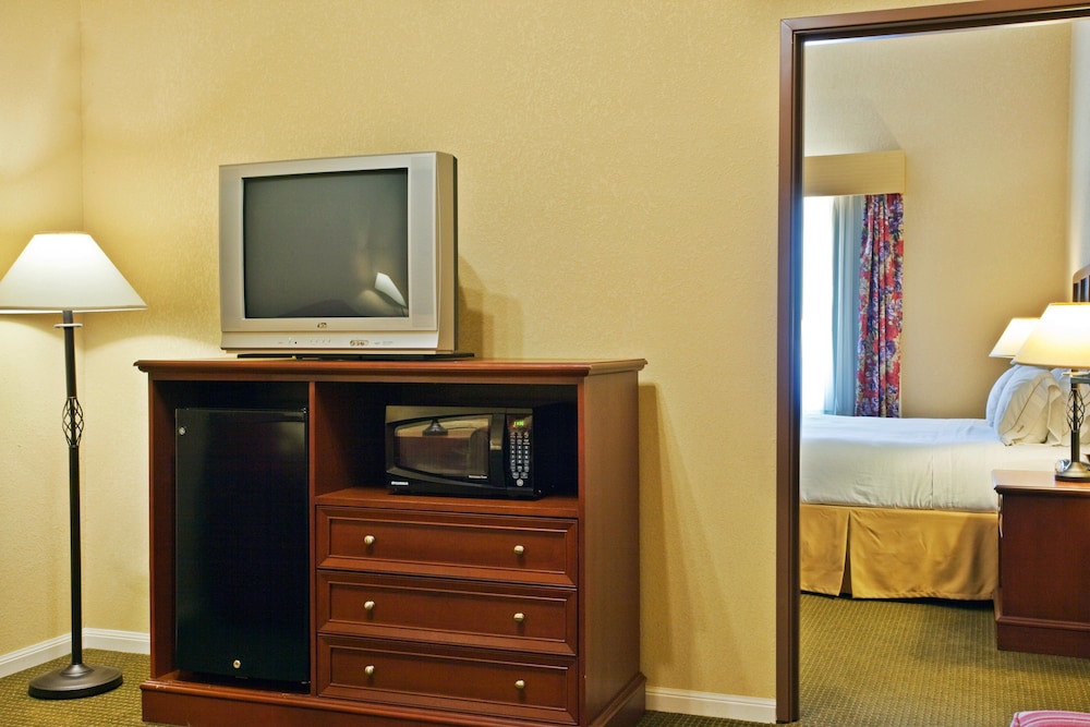 Suite, 1 King Bed photo 3