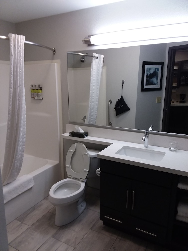 Suite, 1 Bedroom (Living Area) - Photo 8