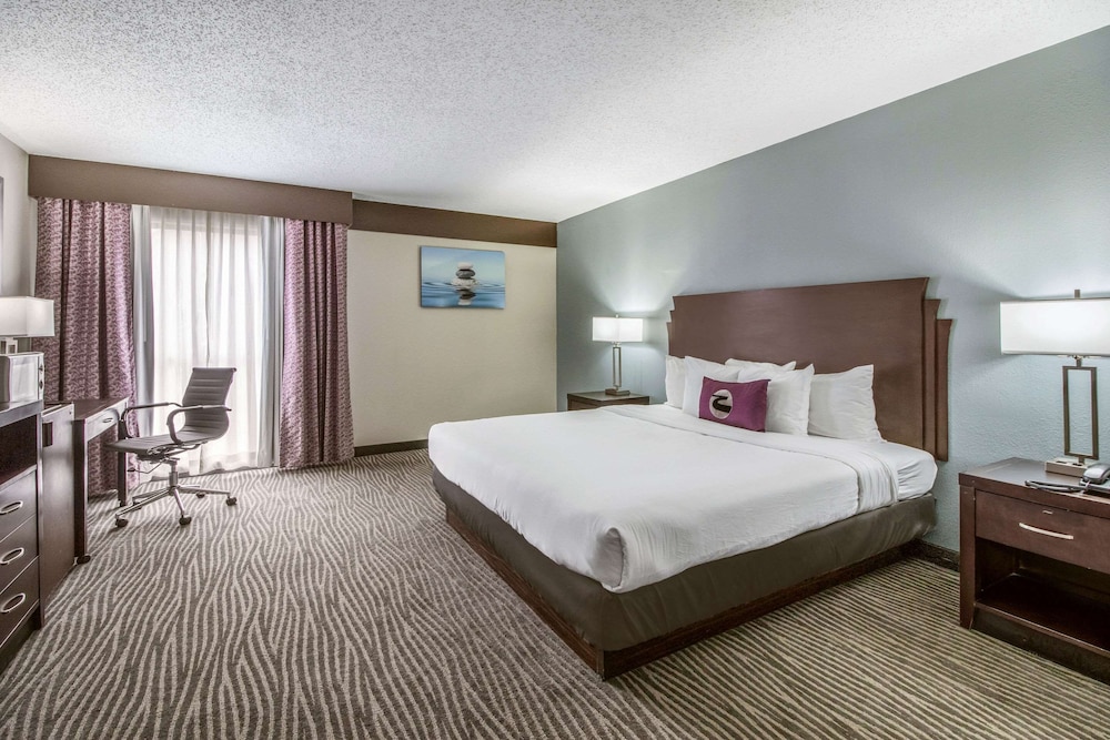 Standard Room, 1 King Bed, Non Smoking (Efficiency) - Photo 2