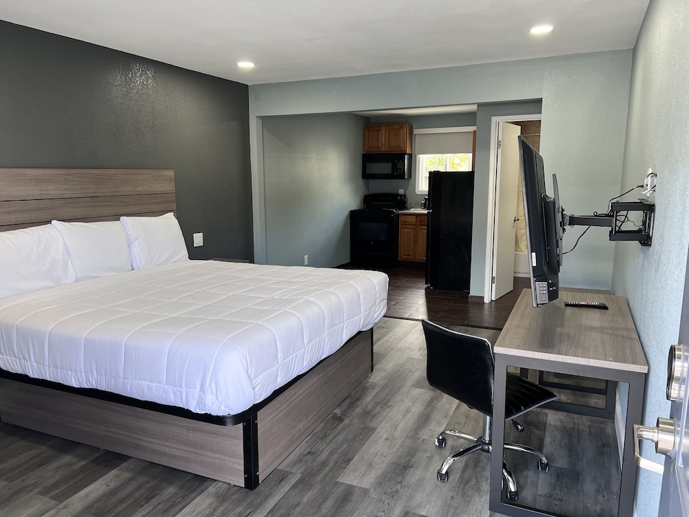 Premier Studio Suite, 1 King Bed photo 1