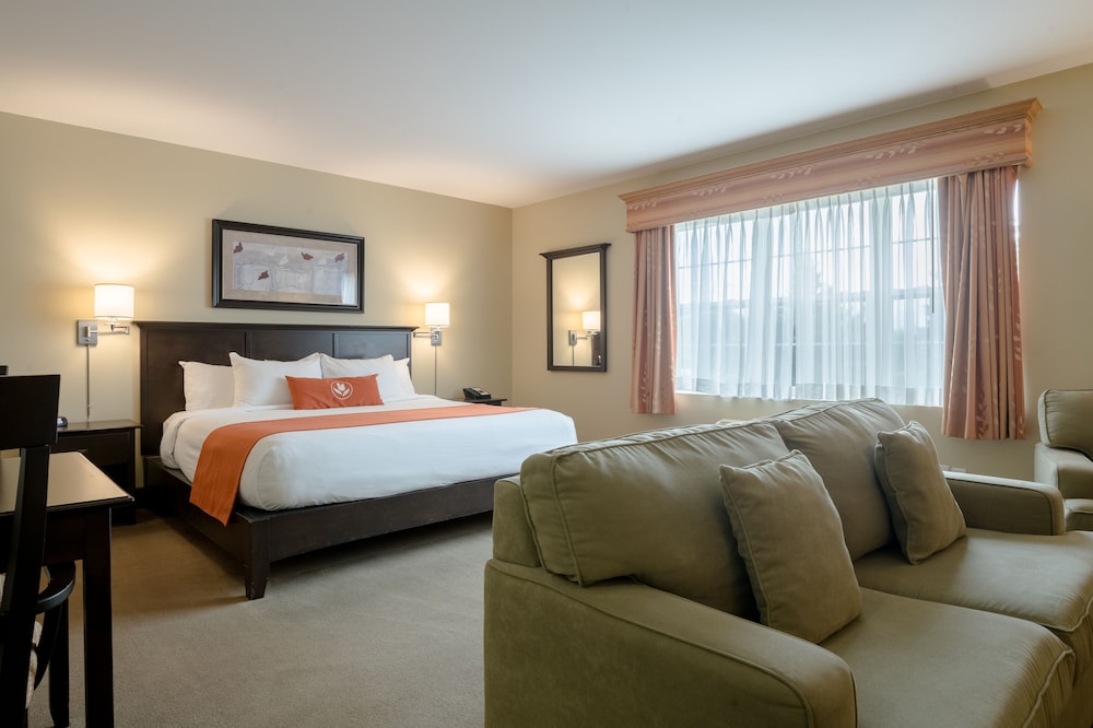 Honeymoon Suite, 1 King Bed with Sofa bed photo 3