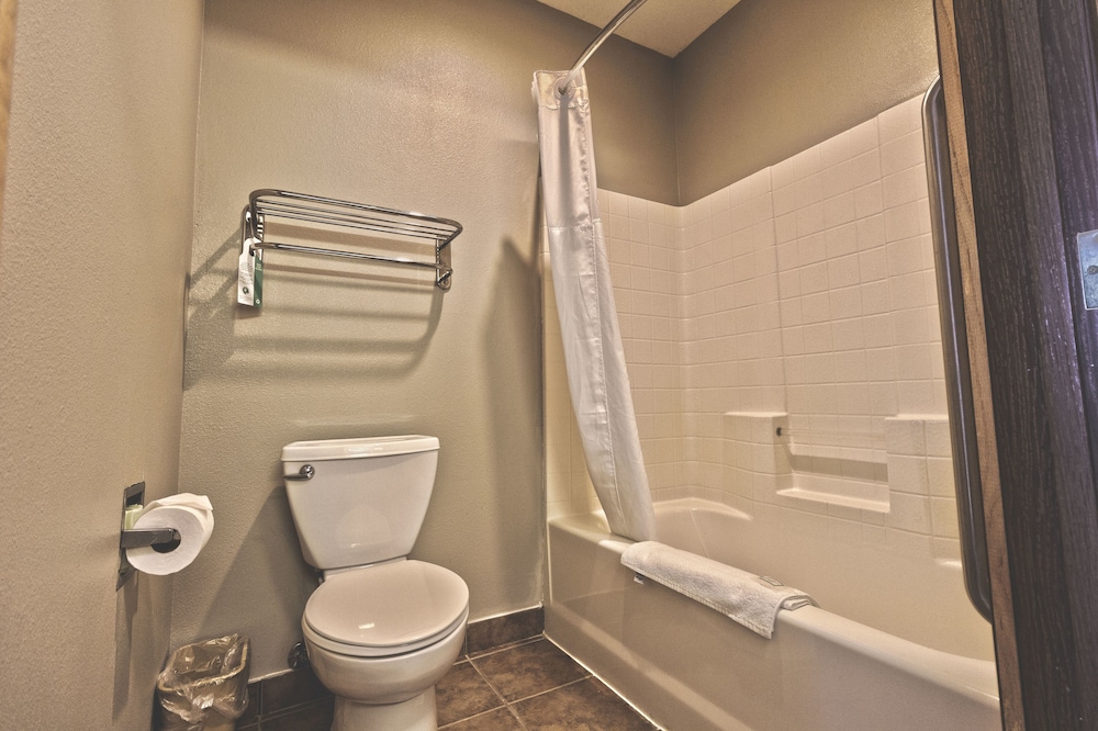 Business Room, 1 King Bed, Non Smoking - Photo 5