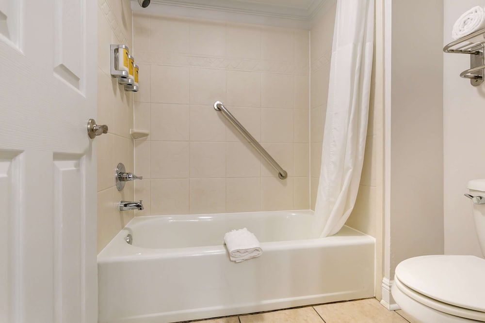 Standard Room, 1 King Bed, Non Smoking, Refrigerator & Microwave (with Sofabed) - Photo 8
