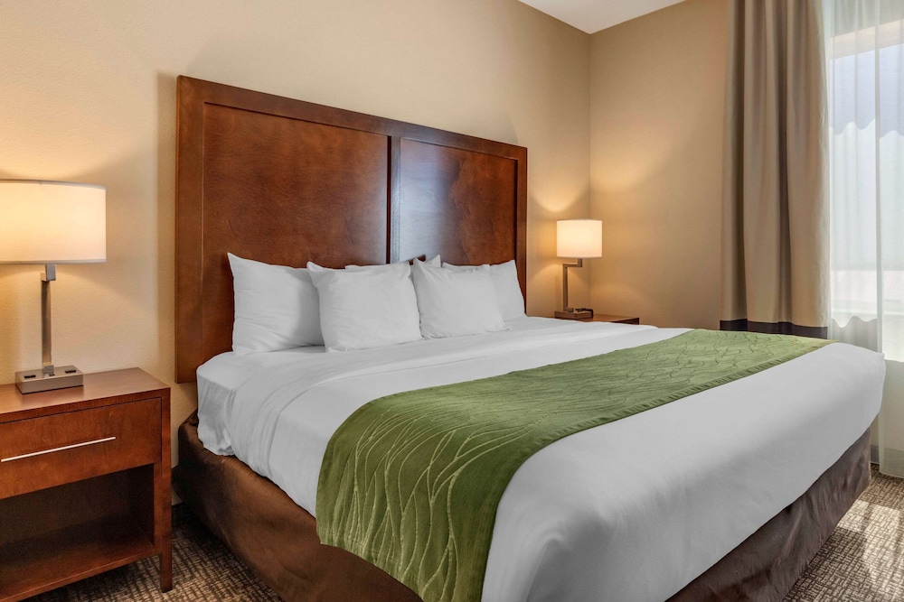 Efficiency, Room, 1 King Bed with Sofa bed, Non Smoking photo 2