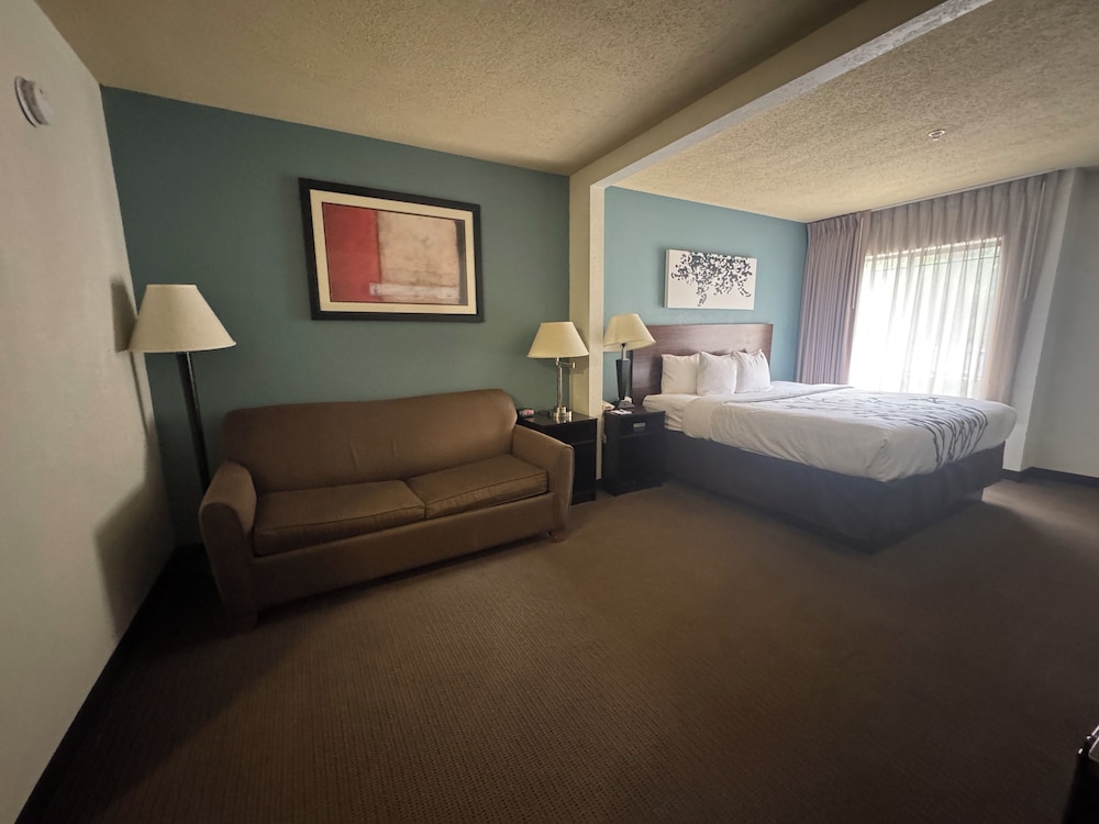 Suite, 1 King Bed with Sofa bed, Non Smoking - Photo 1