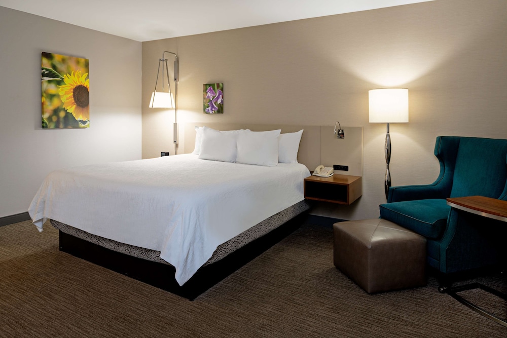 Room, 1 King Bed, Accessible, Non Smoking (Roll-in Shower) - Photo 1