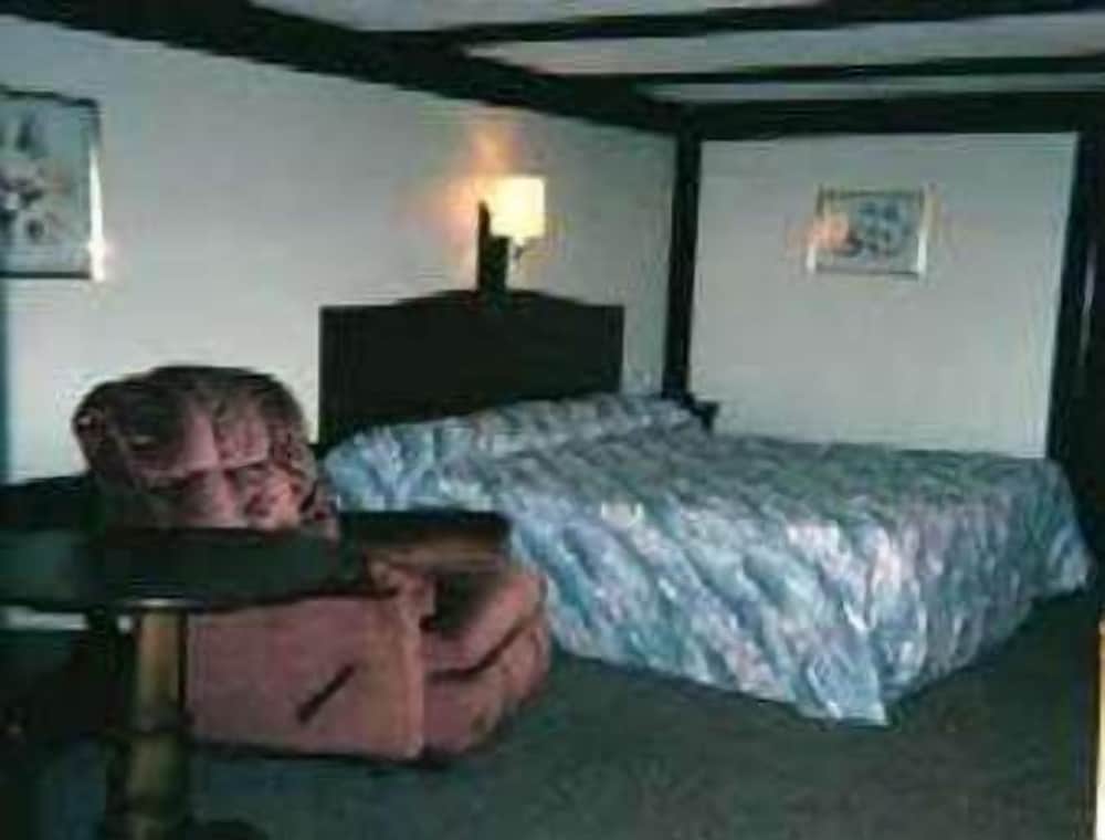 Room, 1 King Bed, Smoking photo 3