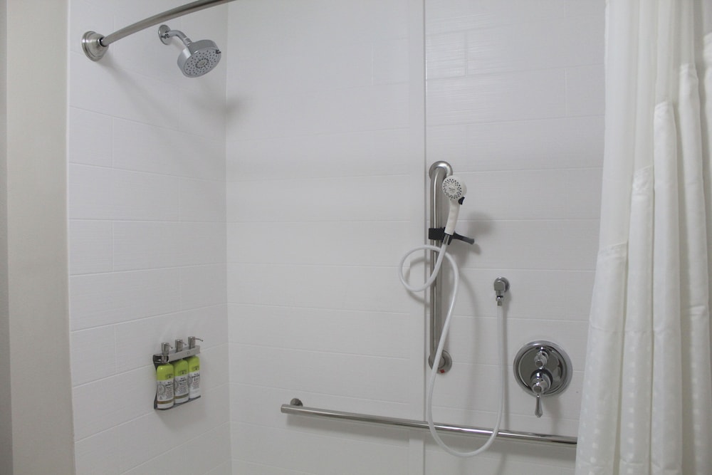 Standard Room, 1 King Bed, Accessible (Comm, Mobility, Roll-In Shower) - Photo 3