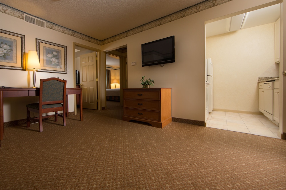 Two Room Efficiency - Photo 3