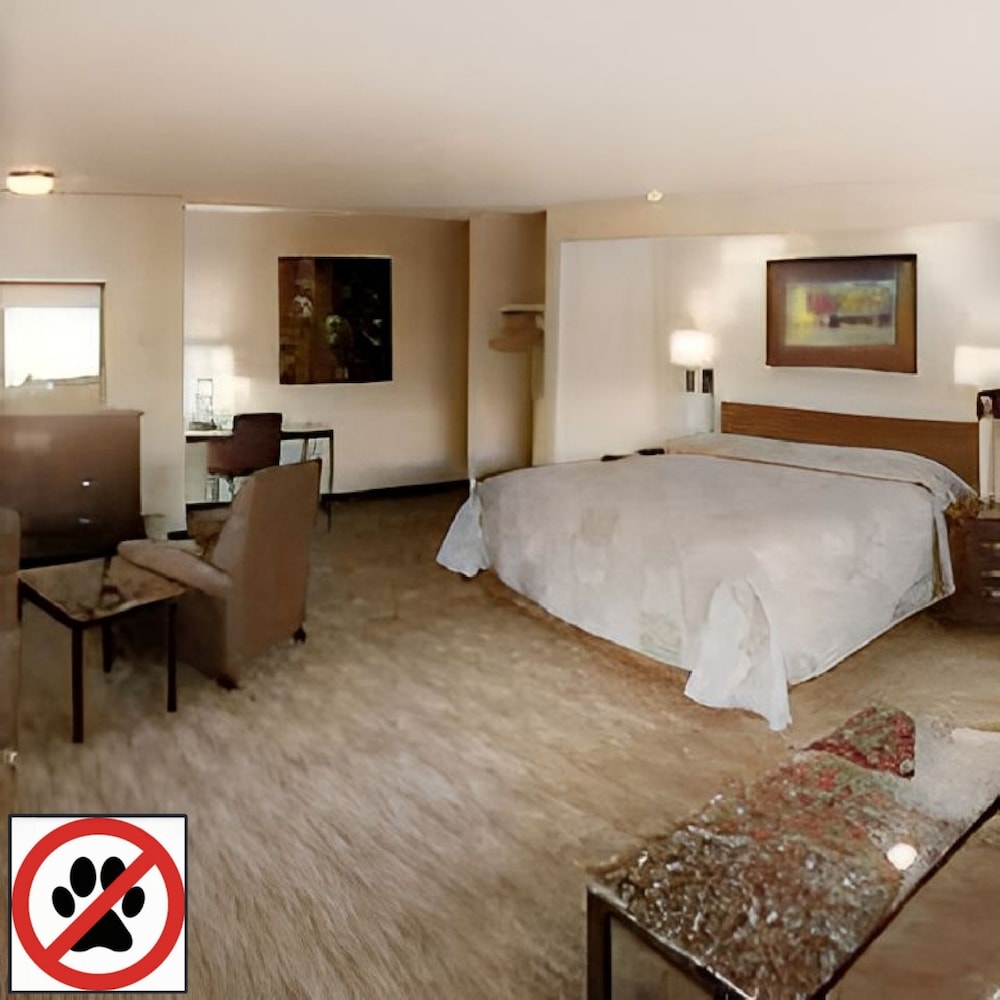 King Suite, No Pets