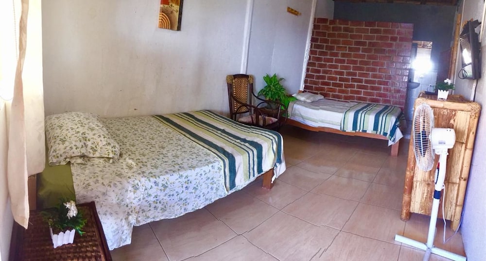 Basic Twin Room
