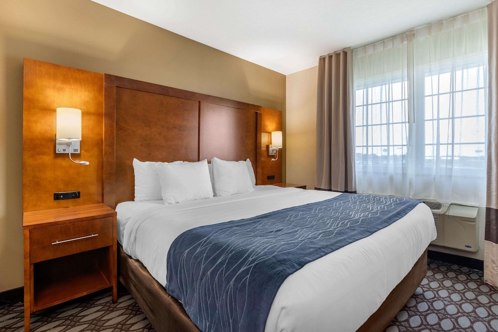 Room, 1 King Bed, Accessible, Non Smoking - Photo 1