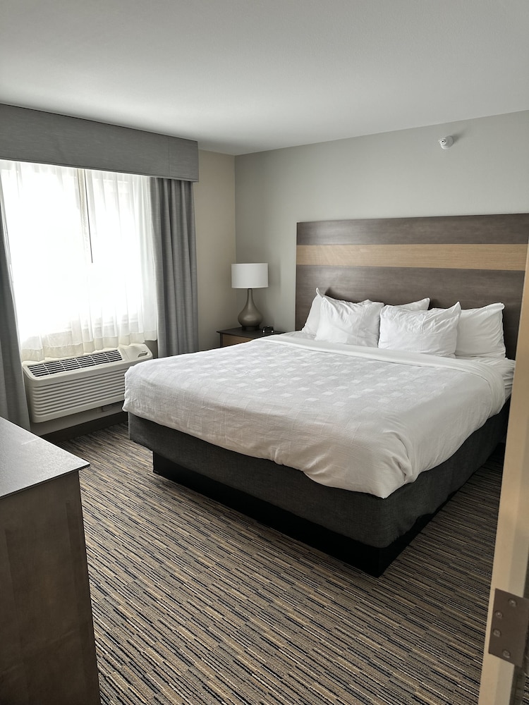 Suite, 1 King Bed with Sofa bed photo 1
