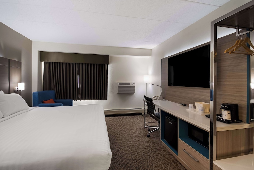 Standard Room, 1 King Bed, Accessible, Refrigerator & Microwave photo 2